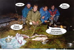 2001t.jpg