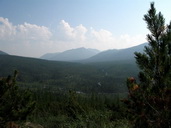 ris05t.jpg