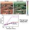 Flat Top and nearby soils